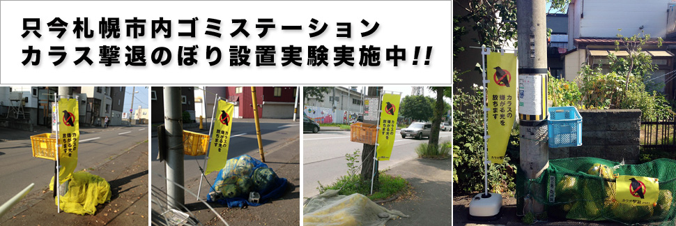 只今札幌市内ゴミステーションカラス撃退実験実施中！