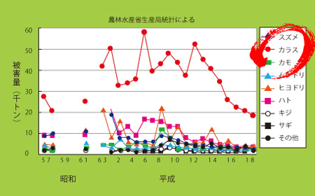 鳥害による農作物被害金額の推移-グラフ